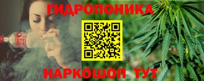 PSILOCYBIN Владивосток
